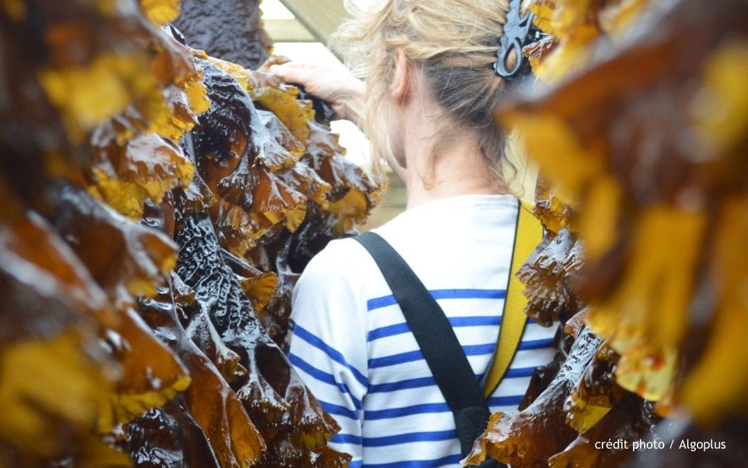 Tourisme de savoir-faire : une filière touristique dans le viseur de la Bretagne